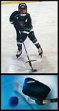 Puckhandler Hockey Training Aid