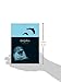 Dolphin (Animal)