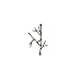 Ancient Graffiti Single Wire Twig Hook