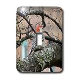 Lee Hiller Photography Hot Springs National Park Wildlife - Red-Bellied Woodpecker - Light Switch Covers - single toggle switch