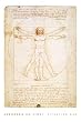 Da Vinci's Virtruvian Man New Art Poster - 24x36 Poster