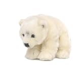 Wwf - 15187002 - Peluche - Ours Polaire - 23 cm