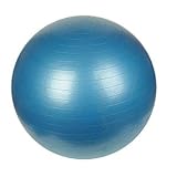 75cm Anti-Burst Exercise Ball