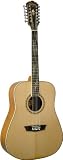 Washburn WD10S12 12-String Dreadnought Acoustic Guitar