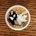 FAT CHEF TOUR DE FRANCE DRAWER PULLS KNOBS