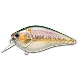 ��å�������ե�USA �Х��ץ�����åץ� ��å� ����� ����󥯥٥��� 408 MS MJ AMERICAN SHAD RC3.5