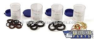 Pump Kit, K2 Oil Seal (Gp Aftermarket)
