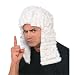 Judge Wig, One Size fits Most