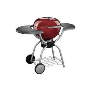 Weber-Stephen 1364001 One-Touch Platinum Charcoal Grill