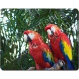 TWO RED PARROTS-Palms Mouse Mat / Pad