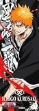 BLEACH THE CARD GUM (�֥꡼�� ���������ɥ���) ��11�� ��Ǯ������� ��No.1 �������(����)