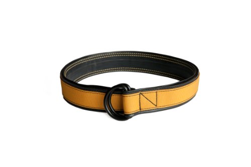 Alchemy Goods Burke Reversible D-Ring Belt