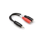 HOSA Stereo 3.5 mm Phone Male - Two Mono 1-Tip and 1-Ring 3.5MM Female - 6-Inch (Discontinued by Manufacturer)