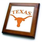 Texas Longhorn - 8x8 Framed Tile