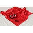 Georgia Bulldogs NCAA Baby Blanket Set