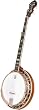 Deering Golden Wreath 5-String Banjo