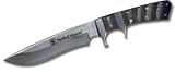 Smith & Wesson SWCLASBH Classics Buffalo Horn Knife by Smith & Wesson