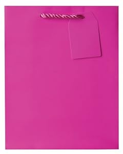 Jillson Roberts Bulk Medium Gift Bags, Magenta Matte, 120-Count (BMT910)