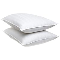 Memory Loft Standard Curve Pillow, 2-Pack