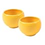 Livestrong by Chantal Jasmine Tea Cup, Set of Two, Glossy Golden Gloss Yellow