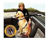 Quick Control Leash + Seat belt latch