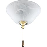 Progress Lighting P2612-10 Two-Light Polished Brass