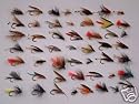 50 ASSORTED WETS - Fishing Flies Flys Fly