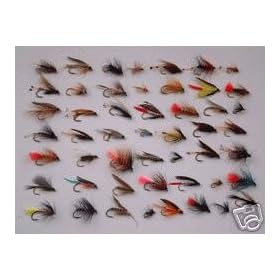 50 ASSORTED WETS - Fishing Flies Flys Fly