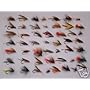 50 ASSORTED WETS - Fishing Flies Flys Fly Lureflash