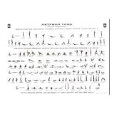 Astanga 1st/2nd series - mediumby Ashtanga.it