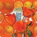 Music : That Lucky Old Sun
