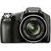 Sony Cyber-Shot DSC-HX100V 16.2 MP Exmor R CMOS Digital Still Camera with Carl Zeiss Vario-Tessar 30x Optical Zoom Lens and Full HD 1080 Video
