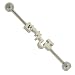 316L Surgical Steel Industrial - Bitch - 14g Ear Wire - 1.5 inch in Length