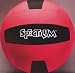 Sporting Goods : Spectrum 42" Ultralite Indoor Volleyball