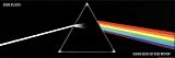 Pink Floyd (Dark Side of the Moon, Door) Music Poster Print - 24