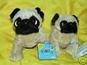 Webkinz Pug Dog & Lil Kinz Pug Set