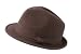 Broner Brown Trilby Hat Wool Felt Trilby Hat with Brown Band