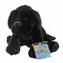 Webkinz Black Lab Dog