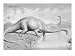 Diplodocus CarnegII Which at 28 Metres Long was the Greatest Known Dinosaur Animals G...