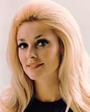 SHARON TATE 8X10 COLOR PHOTO