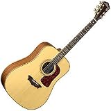 Washburn D52SW Acoustic Guitar (Natural)