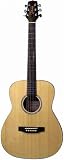 Takamine G501S OM Body Acoustic Guitar
