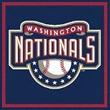 Washington Nationals Paper Cube