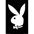 (24x36) Playboy Bunny Logo, Art Print Poster
