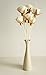 Good Meaning 10 Rose Sola Flower Reed Diffuser for Aroma Diffuser Home Fragrance by Plawanature