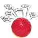 Pet Supplies : Pet Qwerks Animal Babble Ball -Medium