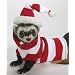 Marshall Ferret Hat and Sweater Set, Blue