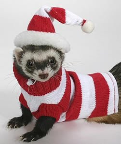 Marshall Ferret Hat and Sweater Set, Blue