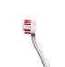Pet Toothbrush for Cats and Dogs With A Comfortable Ergonomic Easy To Hold Non-Slip Handle- 2 Dual-Headed Dog Toothbrush is Veterinarian Recommended - Use With Dog Toothpaste