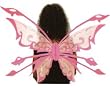 Fairy Wings